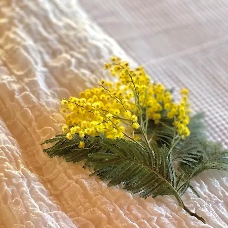 Rouge Gorge - à 500m Des Plages * Mimizan-Plage