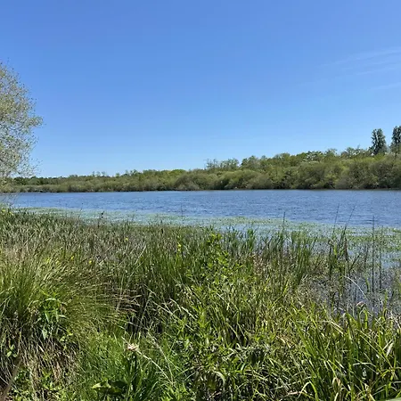 Rouge Gorge - à 500m Des Plages * Mimizan-Plage