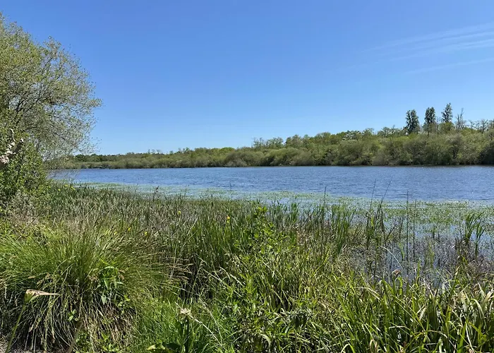 Rouge Gorge - A 500m Des Plages * Mimizan-Plage
