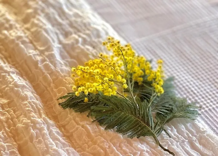 Rouge Gorge - A 500m Des Plages * Mimizan-Plage